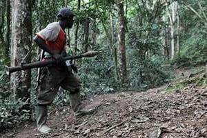 Un rebelle rwandais des FDLR dans une forêt de Pinga, en RDC, le 6 février 2009. © AFP