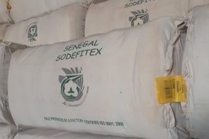En 2013, la Sodefitex a récolté 32 500 tonnes de coton. © Sodefitex