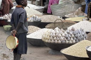 Le génome du « riz africain » séquencé © AFP
