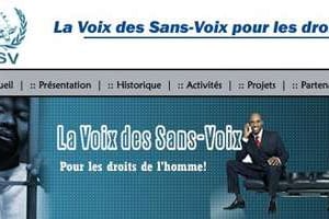 Capture d’écran du site de l’ONG La Voix des sans voix (VSV). © J.A.
