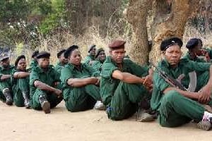 Des combattants de la Remano dans les montagnes de Gorongosa en 2012. © AFP