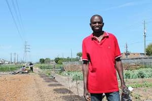 Constant Ngoula supervise l’une des fermes urbaines ouvertes par l’association Plant it Forward. © Cécile Fandos pour J.A.