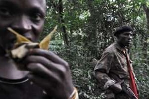 Des rebelles FDLR près de Pinga, à 150 km au nord-ouest de Goma, dans l’est de la RDC. © AFP