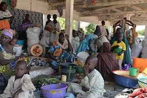 Des réfugiés nigérians à Mora, dans le nord-ouest du Cameroun. © AFP