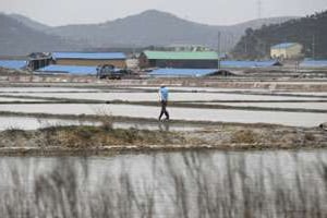 Les marais salants de Sinui sont le théâtre de l’esclavage moderne. © Lee Jin-man/AP/SIPA