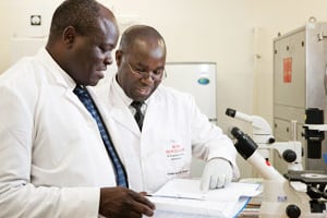 Chercheur du groupe pharmaceutique Novartis travaillant sur la malaria, à Nairobi. © Novartis