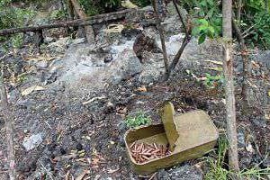 Une boîte de munition qui aurait été abandonnée par les rebelles hutu rwandais de la FDLR. © AFP