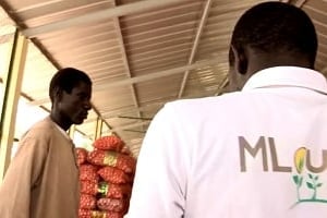 La plateforme Mlouma a déjà séduit plus de 3 000 producteurs agricoles au Sénégal, selon son promoteur, le jeune entrepreneur Aboubacar Sidy Sondo. © Réussite