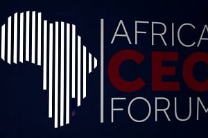 Environ 800 décideurs ont participé à l’édition 2015 de l’Afrique CEO Forum. DR