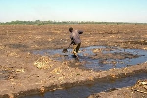 Pour tenter de résorber le déficit céréalier, le gouvernement du Niger a déjà lancé un programme de cultures irriguées sur 130 000 hectares. © AFP