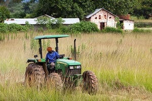 Selon les données de la Banque africaine de développement, le pourcentage de terres arables irriguées sur le continent n’est que de 7 %. © Gwenn Dubourthoumieu pour Jeune Afrique