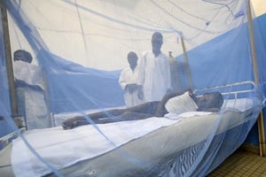 Niger: 5 millions de moustiquaires distribuées contre le paludisme © AFP
