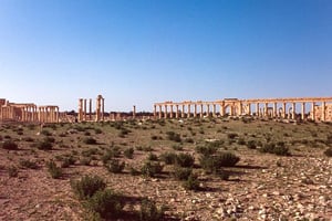 Vue du site archéologique de Palmyre. © Jacqueline Poggi/Flickr