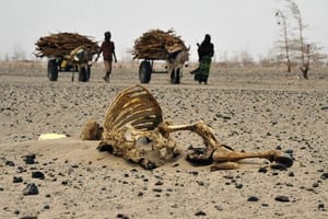 Face au changement climatique, l’Afrique, première victime, peut devenir un modèle à suivre © AFP