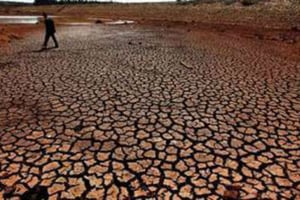 L’Afrique est particulièrement vulnérable au changement climatique. © AFP