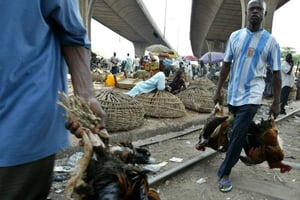 Des vendeurs nigérians de poulet au marché de Lagos, le 1er février 2007. © Sunday Alamba/AP/SIPA