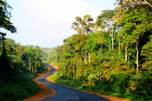 La RN14 entre Ketta et Sembé. © Muriel Devey Malu-Malu