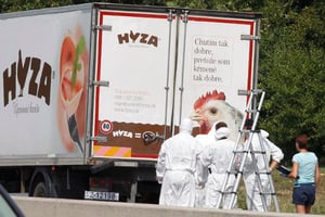 Des agents de la police scientifique se tiennent devant le camion dans lequel ont été retrouvés les cadavres de plus de 70 migrants en Autriche, ce jeudi. © Dieter Nagl/AFP