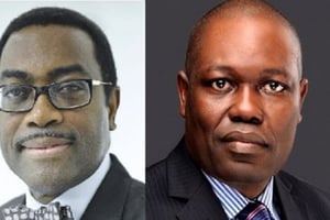 Akinwumi Adesina (à gauche) et Ade Ayeyemi. © DR