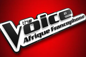 Logo de la version de The Voice en Afrique francophone. © DR