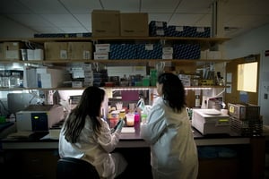 Deux microbiologistes sont en train d’extraire une bactérie afin d’en établir le génome (photo d’illustration). © David Goldman/AP/SIPA