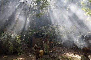 Les forêts du bassin du Congo représentent 90 % des forêts tropicales en Afrique et environ 80 % de la biodiversité africaine. © Rebecca Blackwell/AP/SIPA