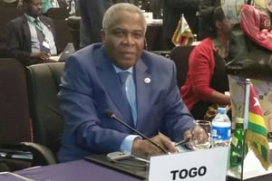 Le ministre togolais de l’Environnement est critiqué après les affrontements meurtriers de Mango. © DR
