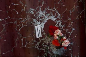 Des fleurs comblent l’impact des balles au Petit Cambodge, l’un des lieux parisiens touchés vendredi 13 novembre. © Peter Dejong/AP/SIPA