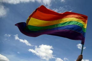 Le drapeau arc-en-ciel, connu comme celui utilisé par la communauté LGBT. © Raul Arboleda/AFP