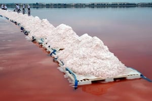 Le sel serait pour la Tunisie, le nouvel « or blanc » © AFP
