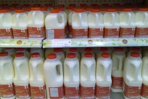 Bouteille de lait. © Wikimedia Commons