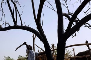 Dans la région du lac Tchad, un homme coupe un arbre brûlé lors d’une attaque de Boko Haram en 2015. © Jérôme Delay/AP/Sipa