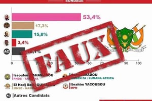 Le faux sondage attribué à Jeune Afrique. © J.A.