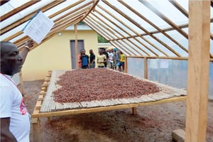 Dans l’une des structures d’Ecookim, à Doala, en Côte d’Ivoire, des agriculteurs suivent une formation. © Ecookim