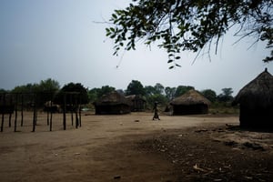 Un village du Parc national de Gorongosa, dans le district du même nom, au Mozambique.. © AFP