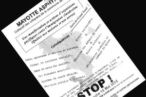 Tract appelant à l’expulsion d’immigrés clandestins à Mayotte, dimanche 15 mai. © Montage J.A.