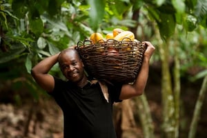 Fortin Bley, président de Fairtrade Africa en Afrique de l’Ouest et producteur de cacao en Côte d’Ivoire, transportant des fèves de cacao dans sa coopérative CANN à N’Douci, Côte d’Ivoire. © Eric St-Pierre/Fairtrade-Max Havelaar