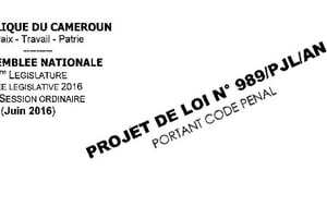 Montage photo du projet de loi portant révision du code pénal camerounais. © J.A.