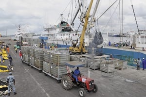 Le port d’Abidjan est un des plus grands exportateurs de thon en conserves du continent. © Nabil ZORKOT pour les Éditions du Jaguar
