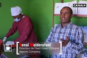 La société d’export de café et d’épices de Senaï Wolderufael pourrait très vite le faire rentrer dans le club des millionnaires éthiopiens, qui devrait compter 4 700 personnes en 2020. © Émission « Réussite » du 7 mai 2016.