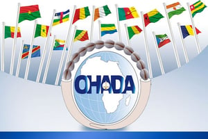 L’Ohada regroupe 17 États membres.