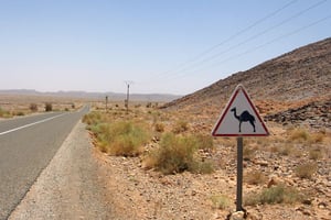 La route vers Erfoud dans le Sud du Maroc en juin 2013. © Giovanna Dell’Orto/AP/SIPA