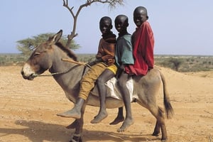 Trois enfants sur un âne au Sénégal. Photo d’archive de 2003. © Jacques DU SORDET / EditionsduJaguar