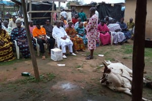 Les chefs traditionnels et coutumiers baoulé procèdent à une cérémonie de « purification de leur terre », le 9 septembre 2016 à Bouaké, en Côte d’Ivoire. © AFP