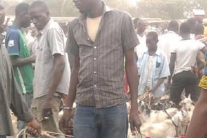 Abdoul Zaki au marché de bétail pour l’achat de ses moutons à Ouagadougou en septembre 2016. © DR