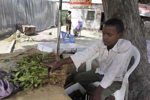 Jeune homme vendant du khat à Mogadiscio, en Somalie. © Farah Abdi Warsameh/ AP/SIPA