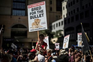 Manifestation pour la défense des espèces animales menacées, le 24 septembre 2016 à Johannesburg. © Marco Longari/AFP