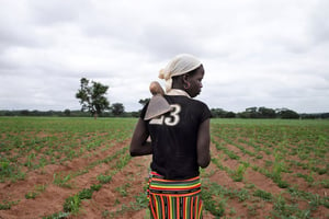 Image d’archive. Une jeune fille issue de l’ethnie sénoufo enlève les mauvaises herbes d’un champ d’arachide près de Korhogo au nord de la Côte d’Ivoire, 2015. © Philippe Guionie/Myop pour J.A.