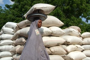 Une fille transporte des noix d’arachide à Maradi au Niger en 2005. © GEORGE OSODI/AP/SIPA