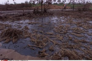 Les conséquences environnementales de l’extraction du pétrole ont été désastreuses dans certaines régions du Nigeria © SAURABH DAS/AP/SIPA